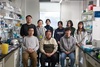 UNIST 김홍태 교수팀 “손상 DNA 복구 관여하는 새 단백질 발견”