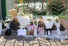 대전 8살 초등생 살해 여교사 
