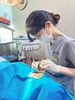 [수지빅스마일치과 배진현 대표원장 칼럼] “상악동 거상술 등 고난이도 임플란트 전 정밀 치과 진단 우선해야”
