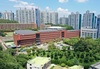 부산교육청 간부 교육감 재선거 중립의무 위반 의혹