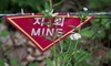 파주 서부전선 DMZ에서 폭발 사고…육군 부사관 1명 부상