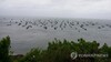 서해에 중국 불법조업 어선 하루 110여 척 출몰