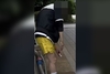 SNS '수원 마약 영상' 속 30대 체포…필로폰 양성 반응