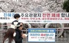 코로나19 확산에 봄축제 연이어 취소